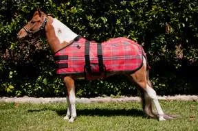 Kensington Pony Fly Sheet #161 Red Plaid