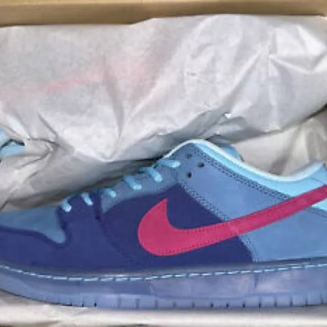 Run the Jewels Dunk Low Nike